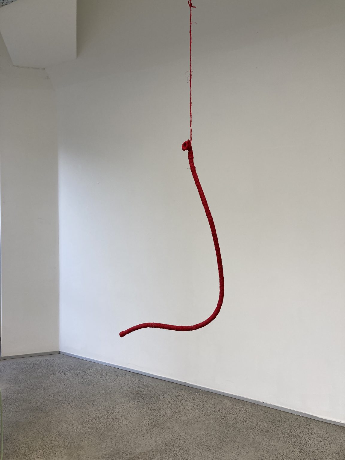 Womanaswashing machine Hose change Wendy Lawson