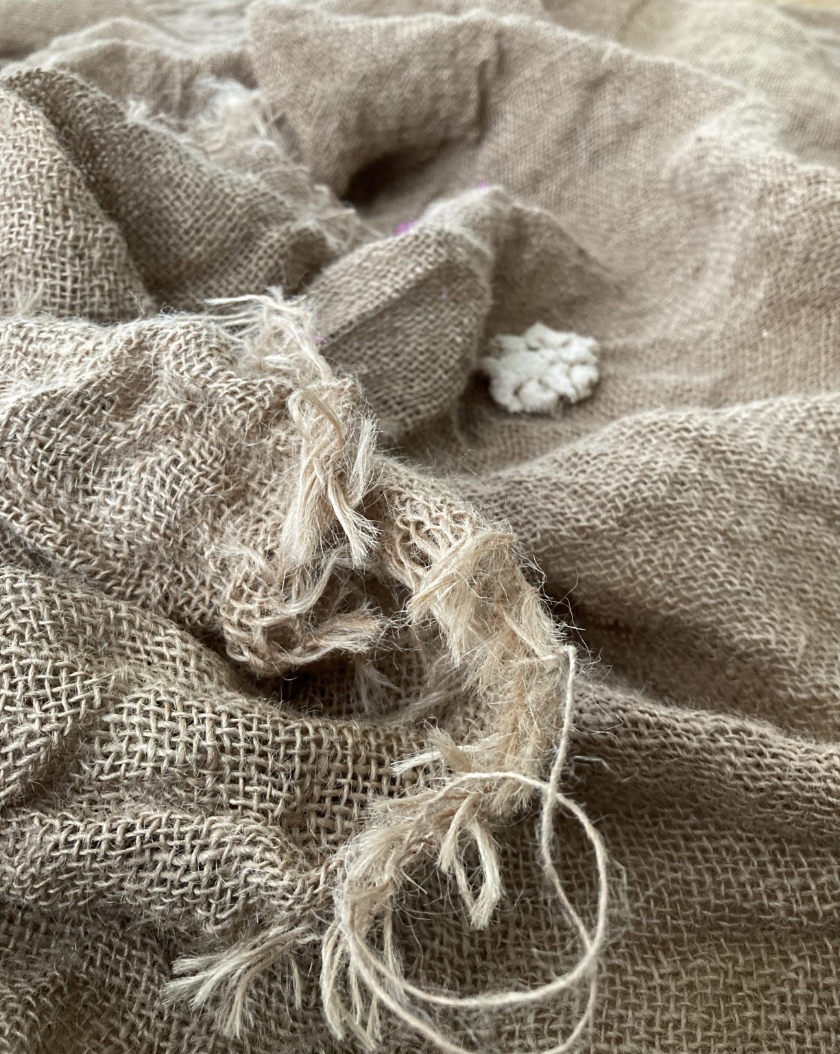 Rag rugging a material encounter Wendy Lawson